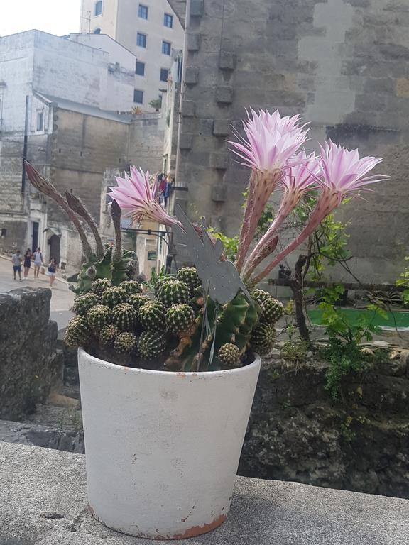 La Bomboniera Holiday Home Matera Bagian luar foto